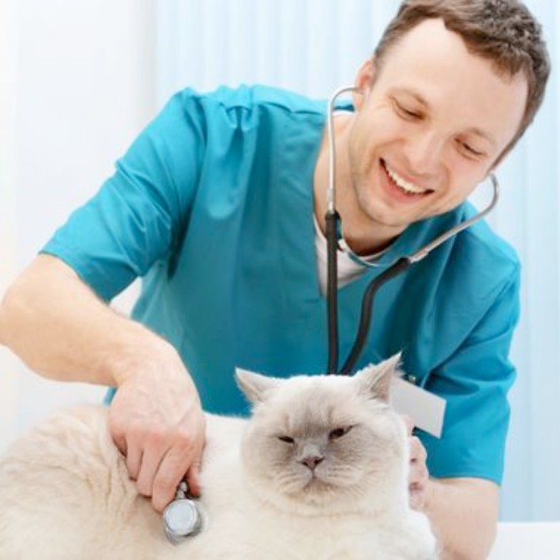 DR Guy Pierre HUCHETTE